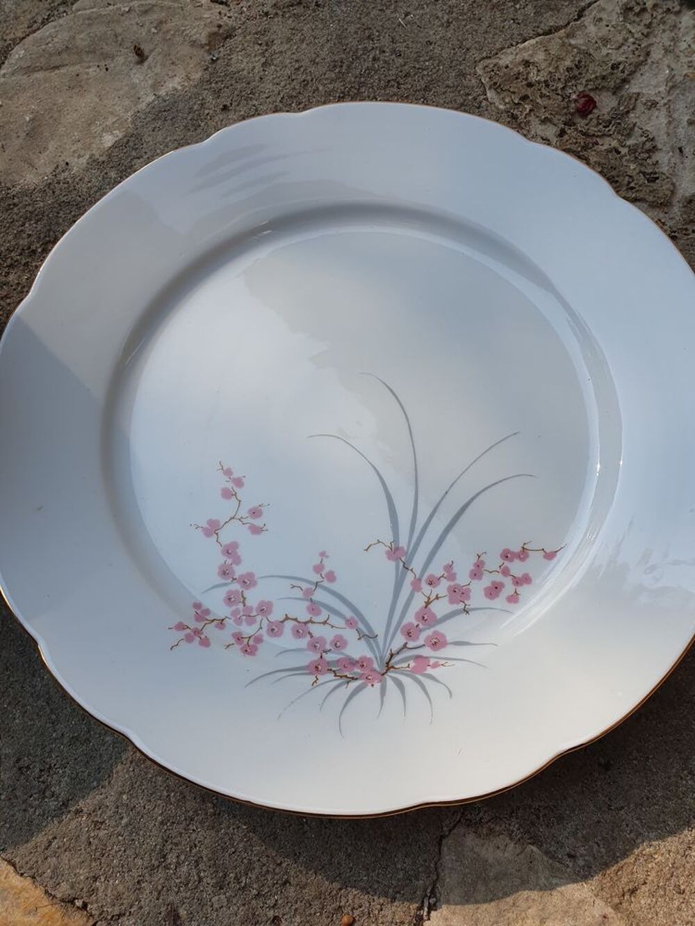 Service a dessert et a caf&eacute; Cuisine