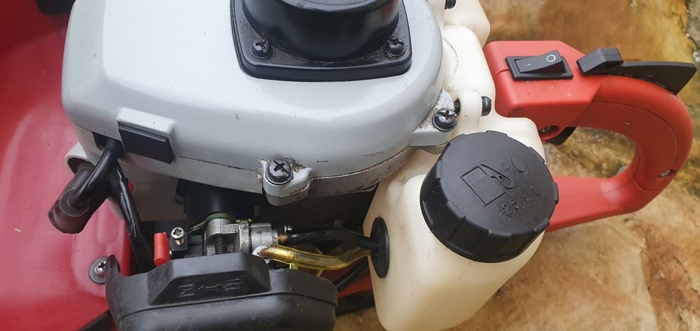 Taille haies thermique Bricolage