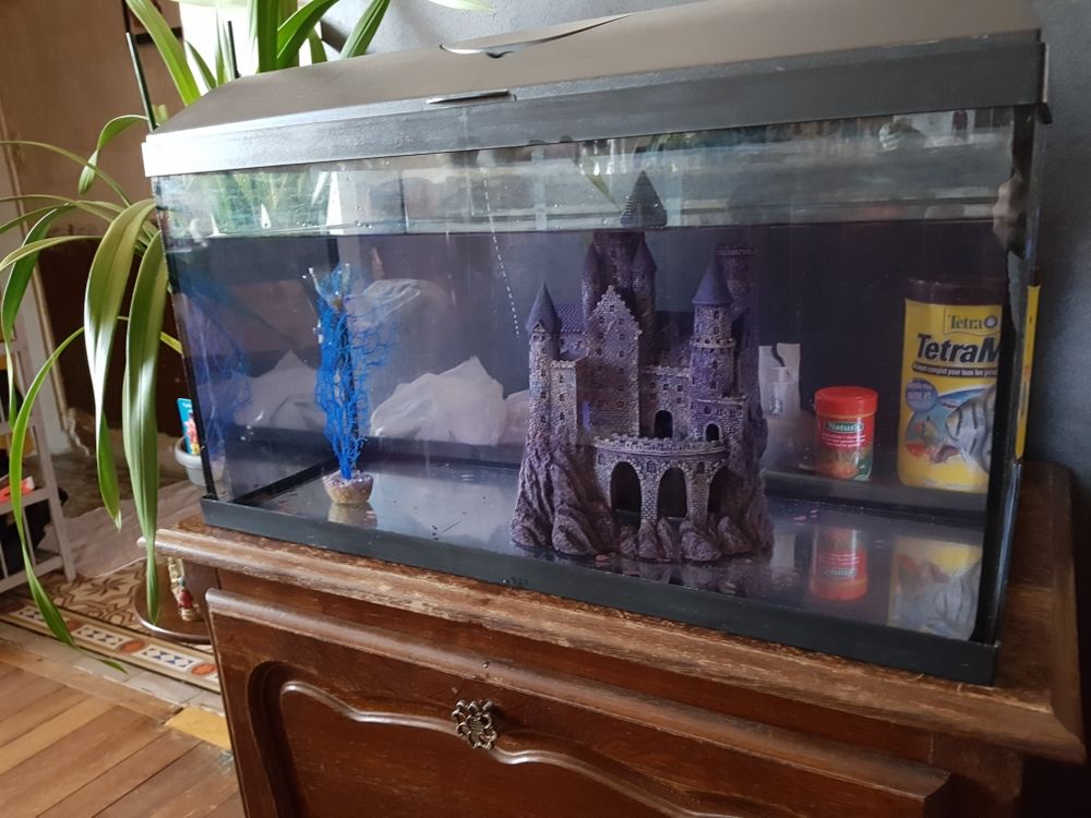 Aquarium Décoration