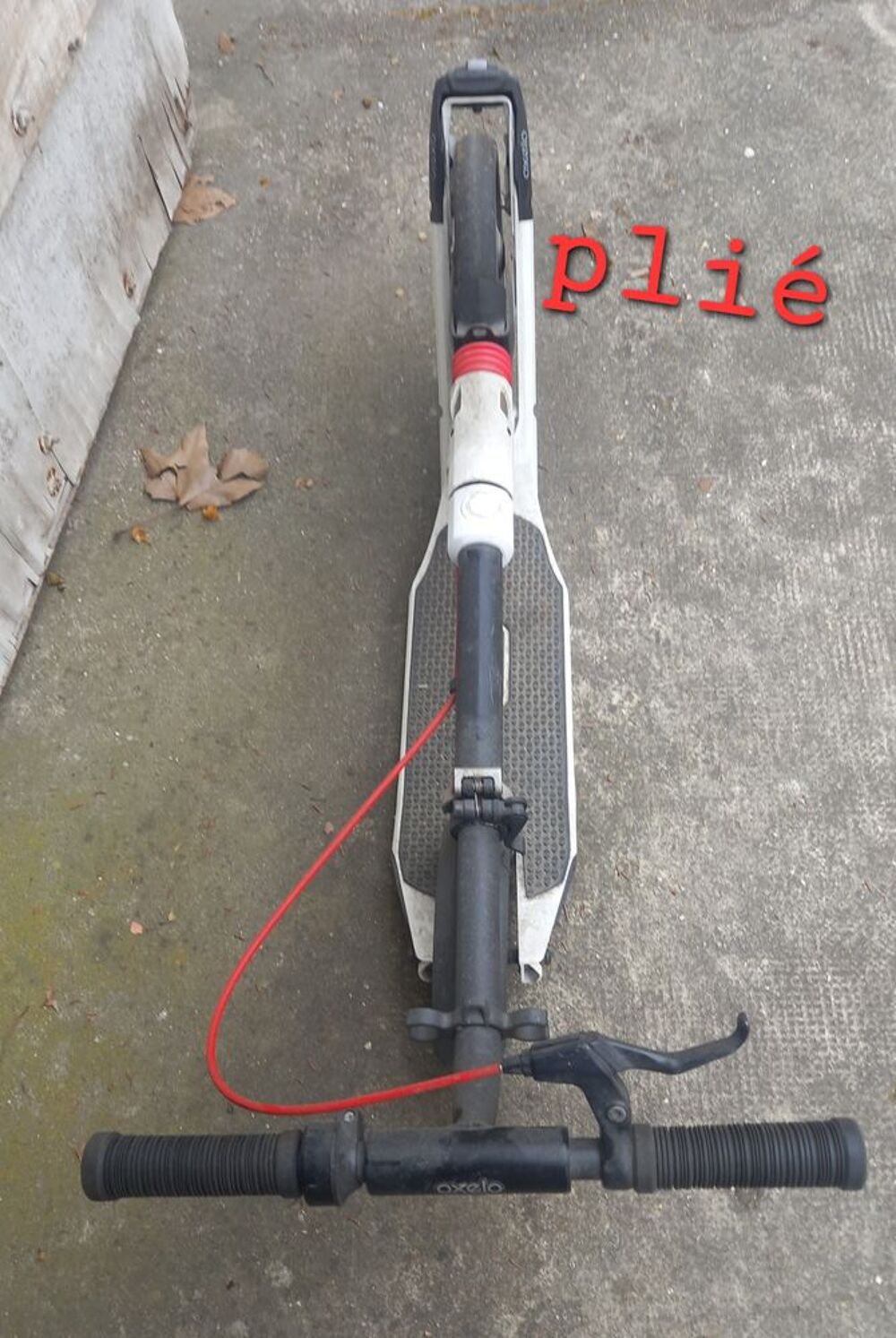 TROTTINETTE ADULTE Sports