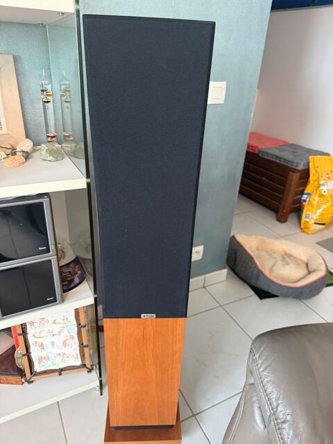 Rare Proac D48R 6800 Viry (74)