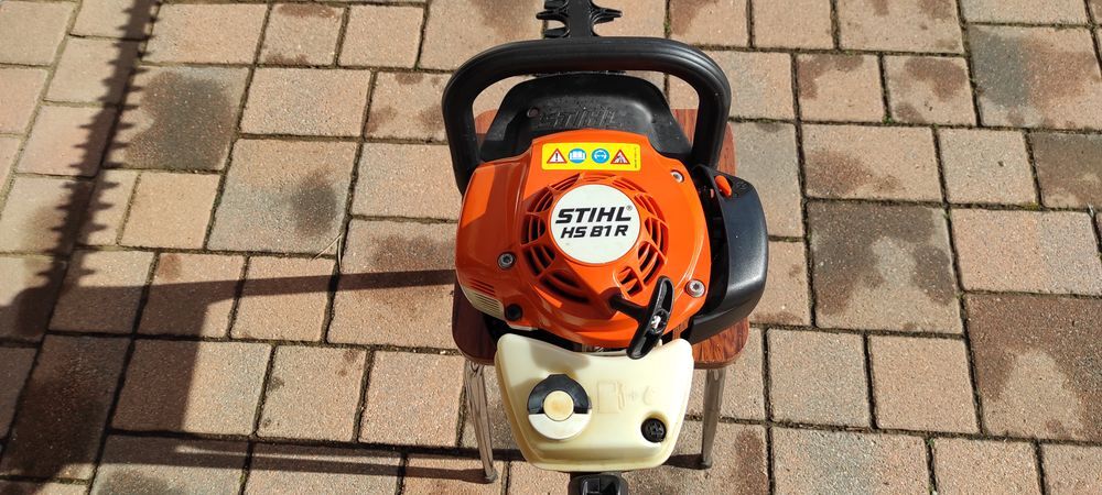 taille haie thermique Jardin