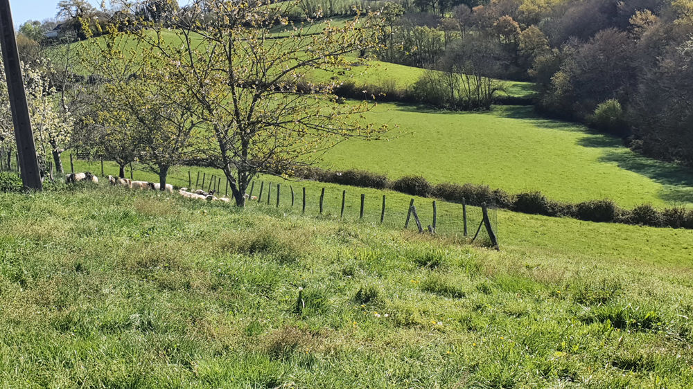 Vente Ferme Au calme, Ferme agricole et sa maison au Pays Basque. Esquiule
