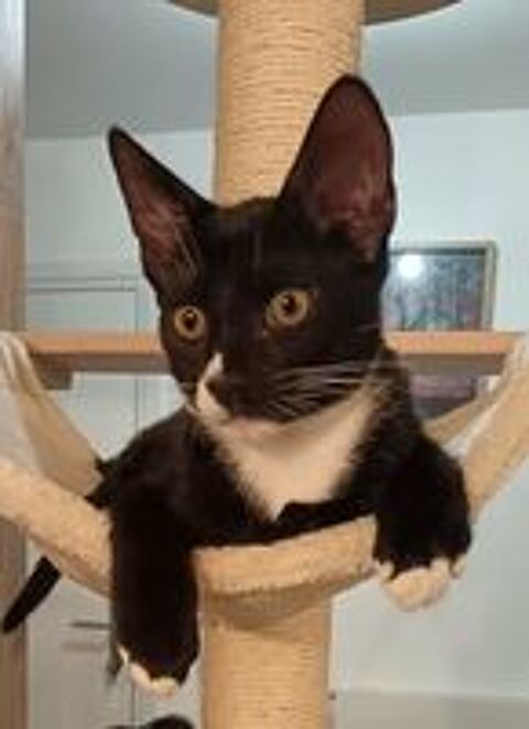   BINX 