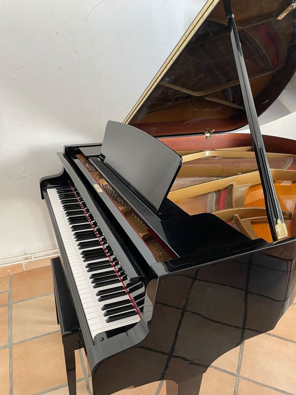 PIANO A QUEUE C.SAUTER Instruments de musique
