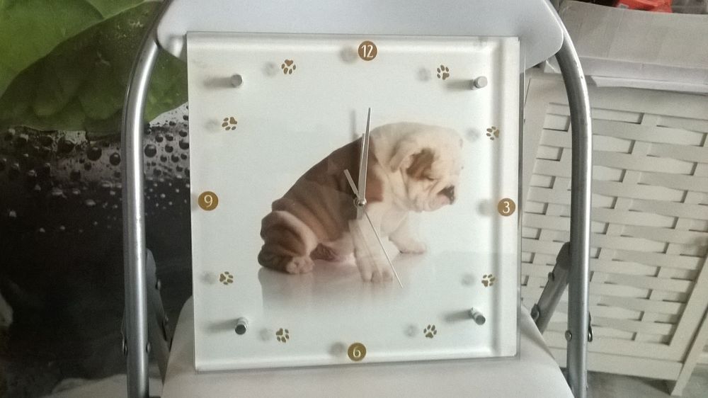 Horloge Carr&eacute;e Chiot anglais de bouledogue
Neuve Dcoration