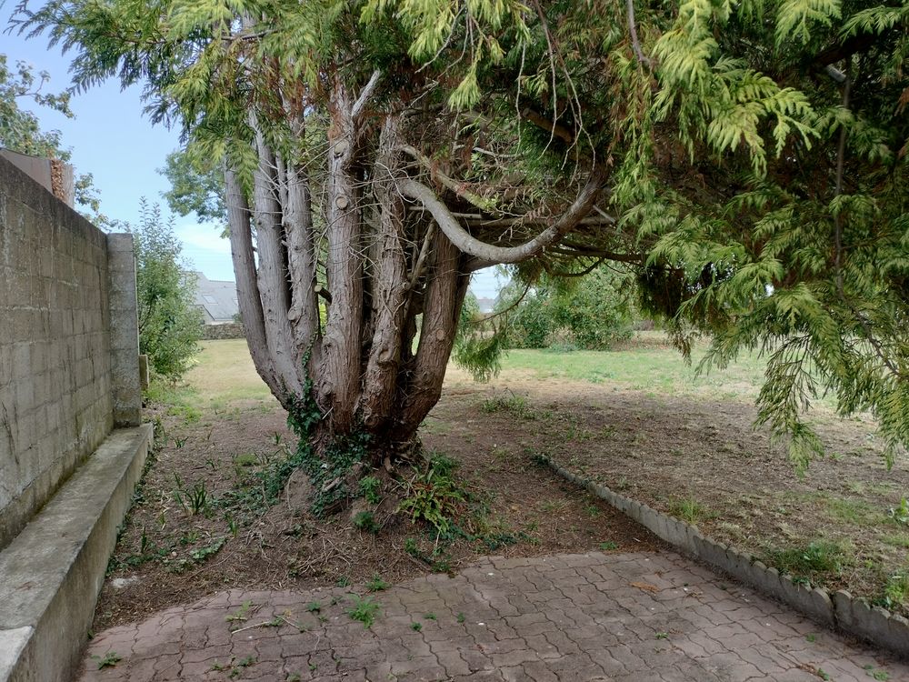 Vente Terrain Grand terrain 1503 m² proche plage et centre ? Audierne (297 Audierne