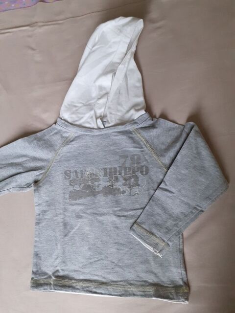 Tee-shirt  capuche garon 23 mois 2 Grisolles (82)