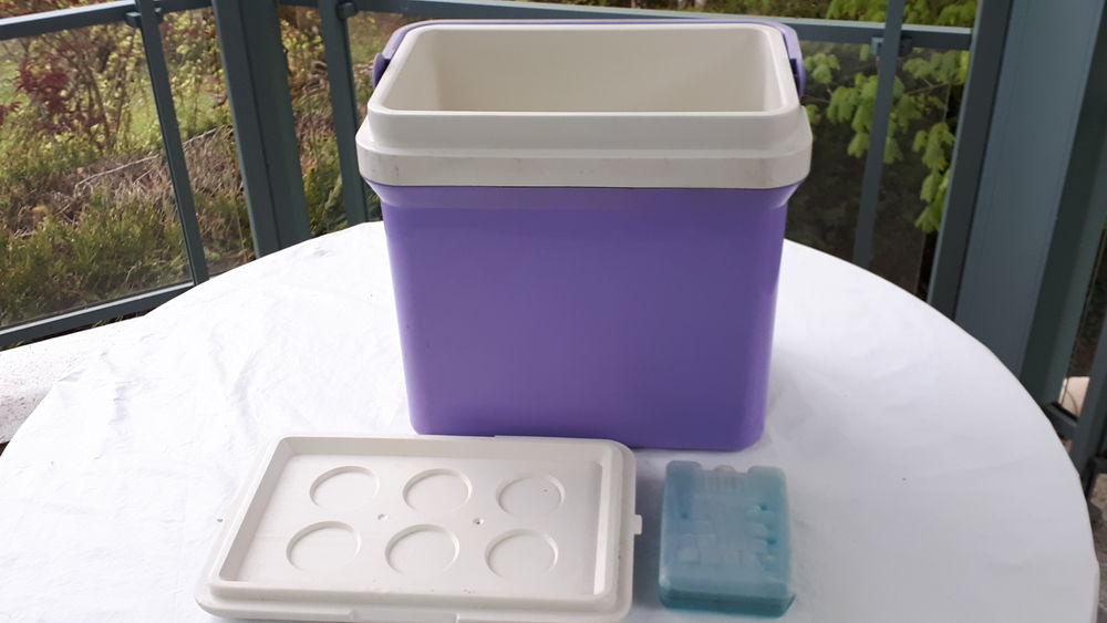 Glaci&egrave;re 24 litres avec 1 pain de glace Jardin