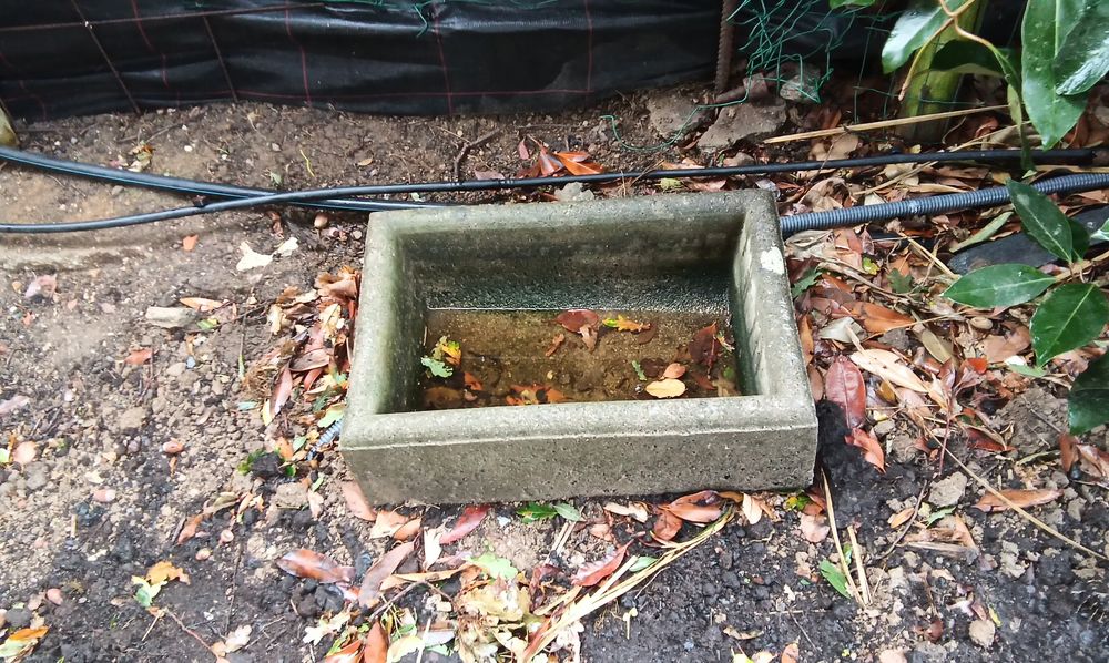 Auge Jardin