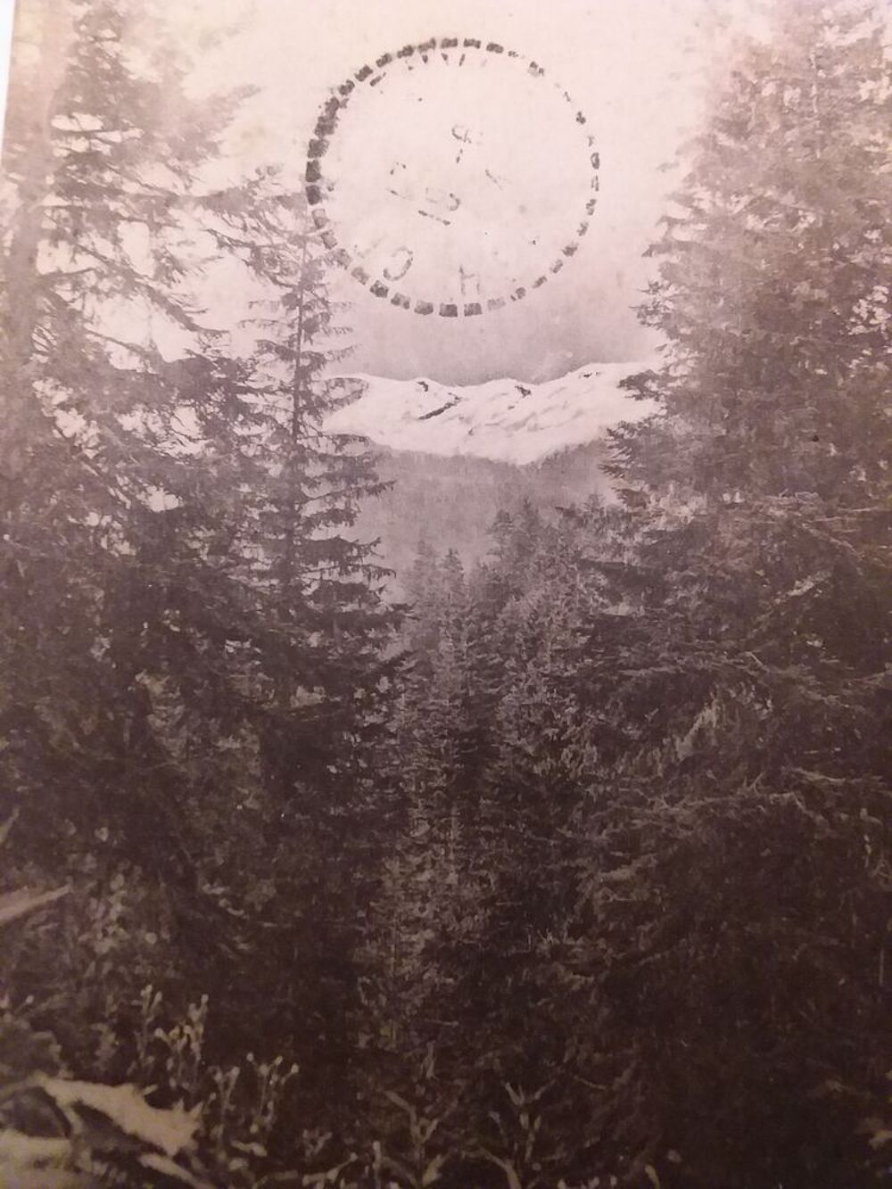 Carte postales ancienne Departement 06 