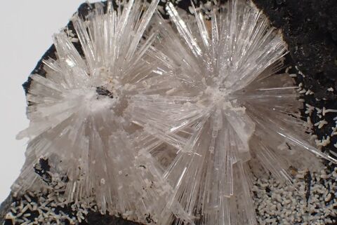 Aragonite sur Basalte Le Puy-en-Velay Haute-Loire France 14 Moyenmoutier (88)