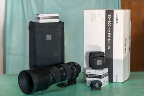 SIGMA 150-600 sport 1100 Montral (11)