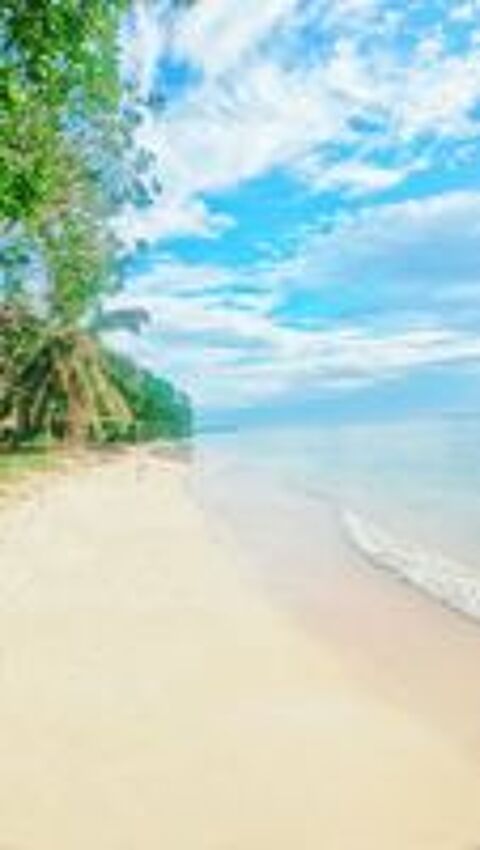   Recherche de G�rant pour mon domaine � St Marie (Madagascar) 