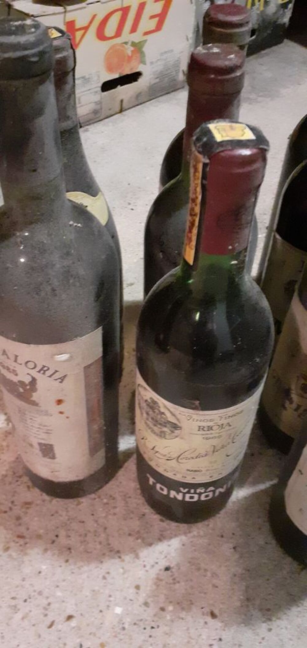 Lot de 35 bouteilles de vin espagnol de 1985 