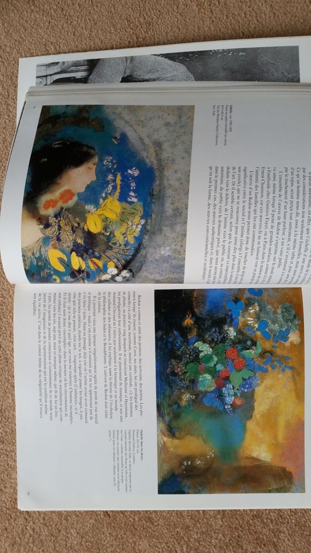 REDON ( Taschen ) Livres et BD