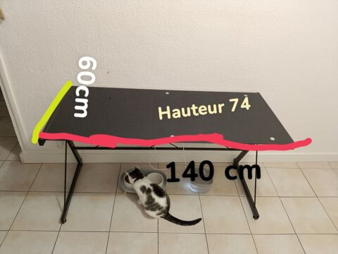 Bureau en verre 30 Bédarieux (34)