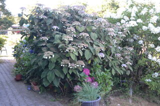  Maison � vendre 7 pi�ces 150 m�