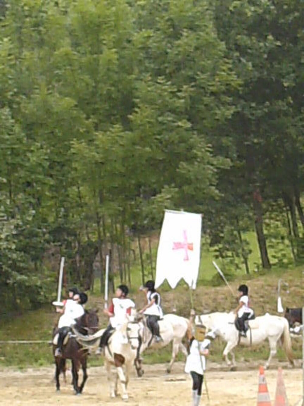 Stage d'&eacute;quitation avec h&eacute;bergement Sports