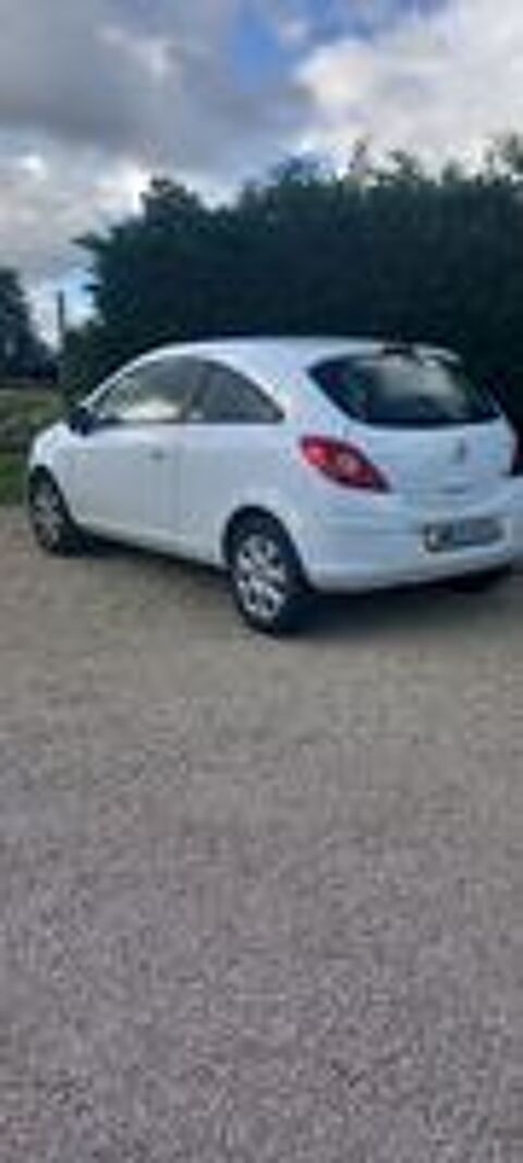 Corsa 1.3 CDTI - 75 ch FAP Color Edition 2013 occasion 79200 Viennay