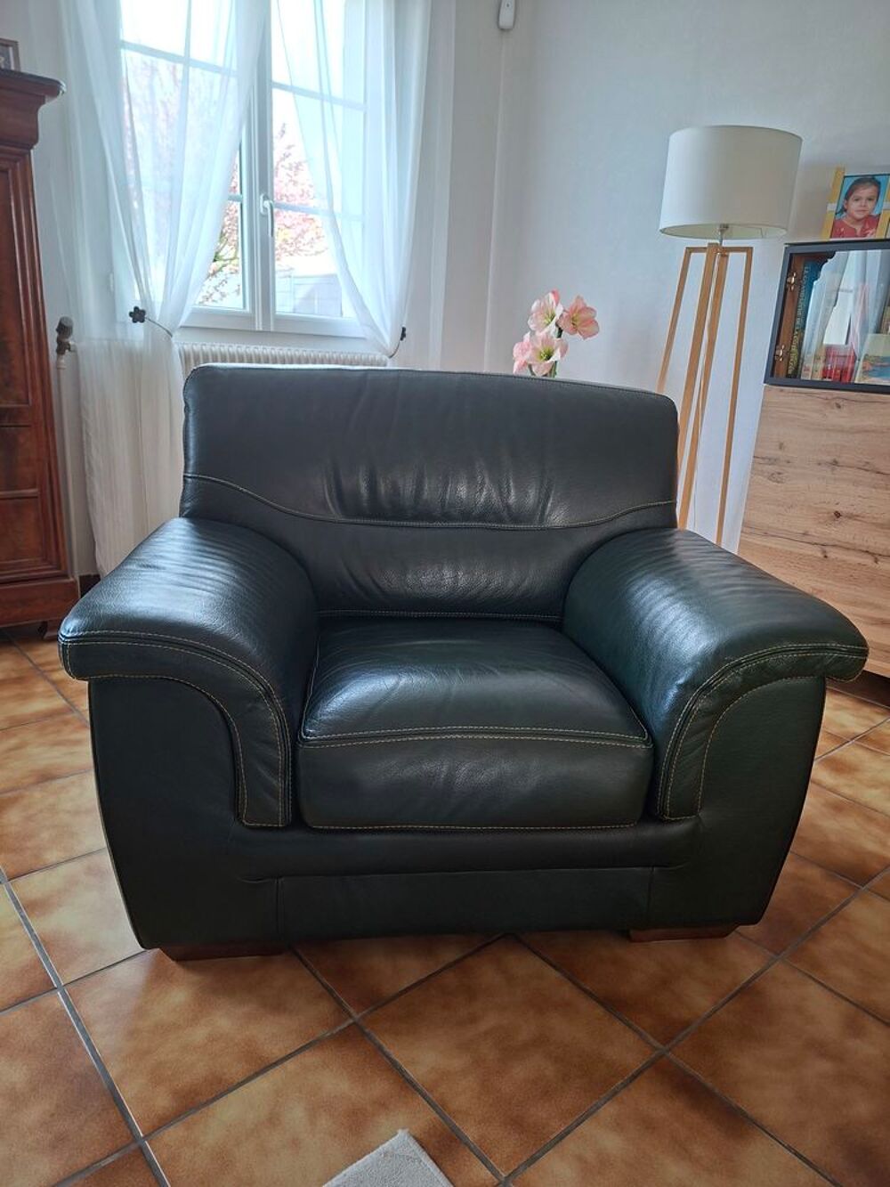 Fauteuil cuir buffle vert Meubles