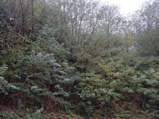  Terrain à vendre 3500 m² 