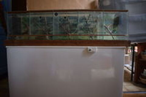   terrariums ou rack 