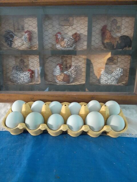 Oeufs de poules de Bavi&egrave;re f&eacute;cond&eacute;s &agrave; couver 2 68270 Wittenheim