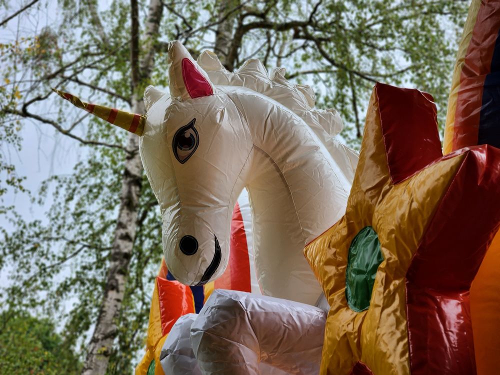 Chateau gonflable licorne avec toboggan - tres bon etat Jeux / jouets