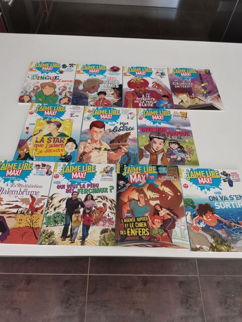 Lot de 11 J'aime lire Max 10 Orange (84)