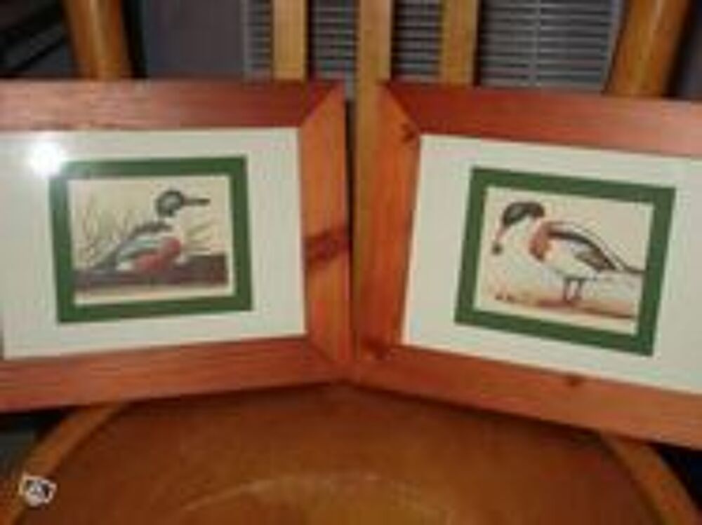 2 tr&egrave;s beaux cadres repr&eacute;sentant des canards Décoration