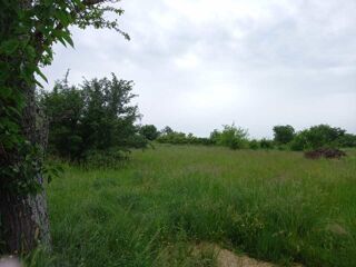  Terrain � vendre 11000 m� All�gre-les-fumades