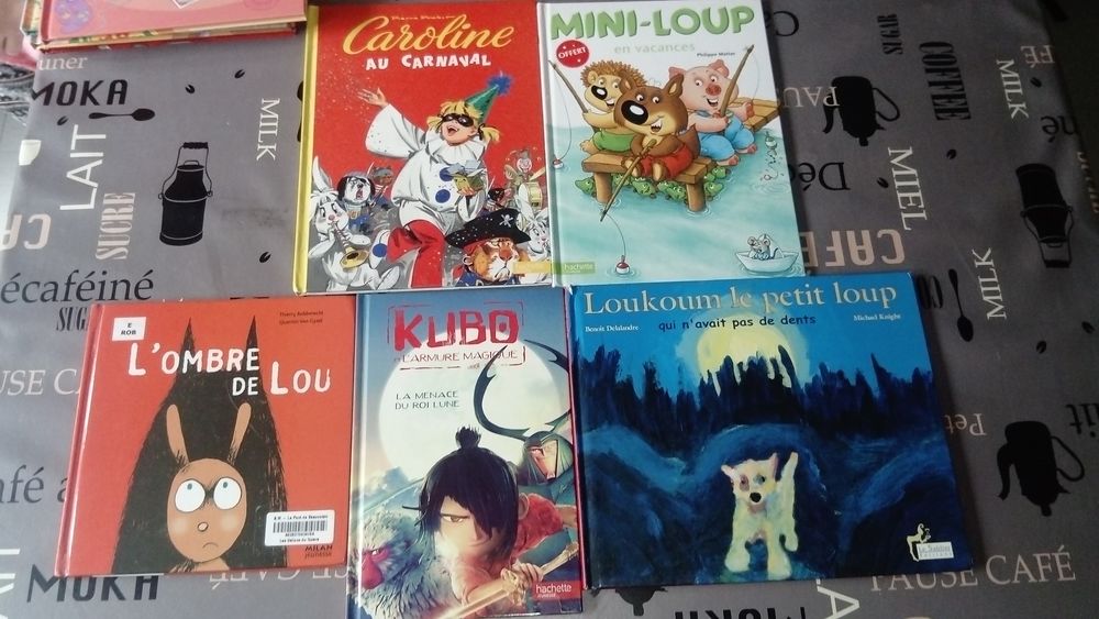 Livre enfant Livres et BD