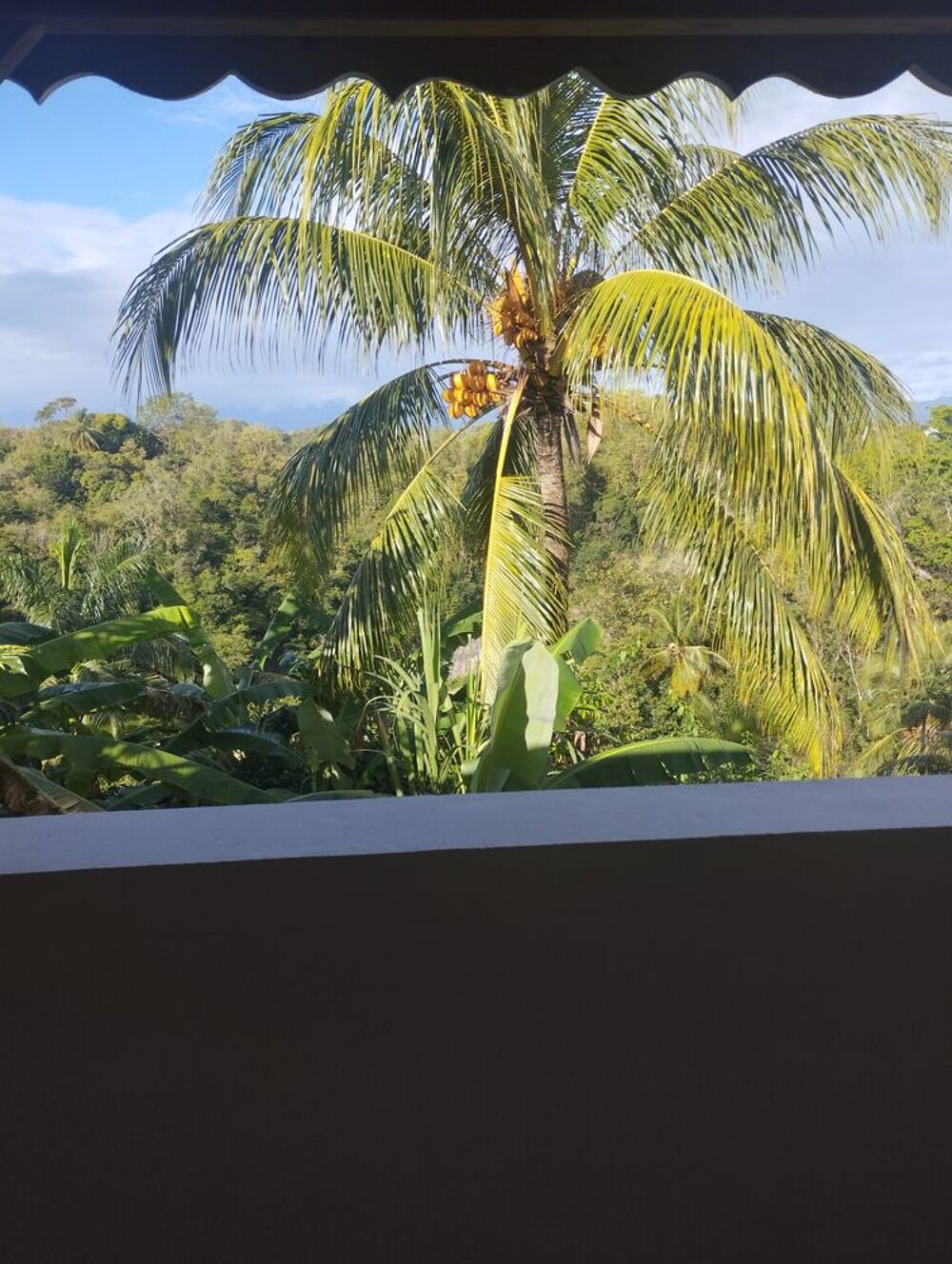 Location Appartement superbe haut de villa Les abymes