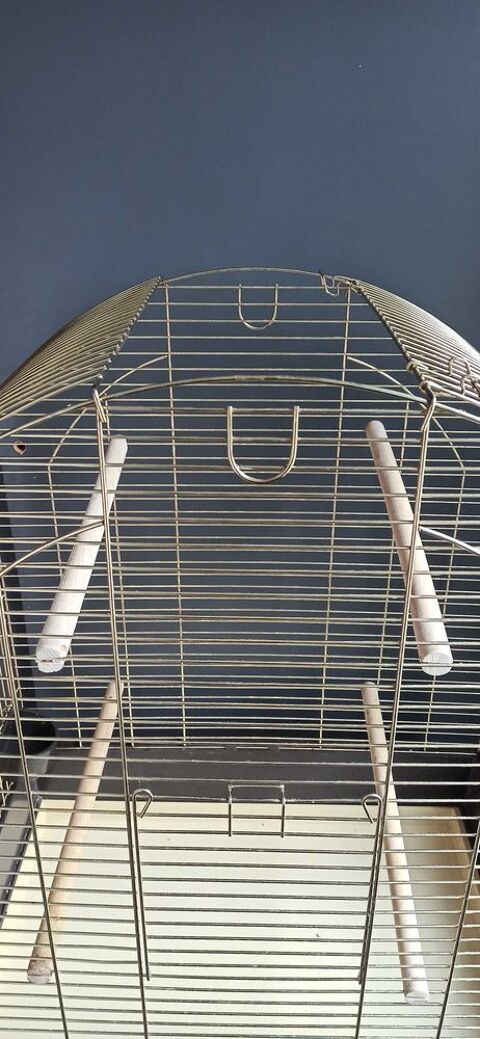 Cage oiseaux 0 29380 Bannalec