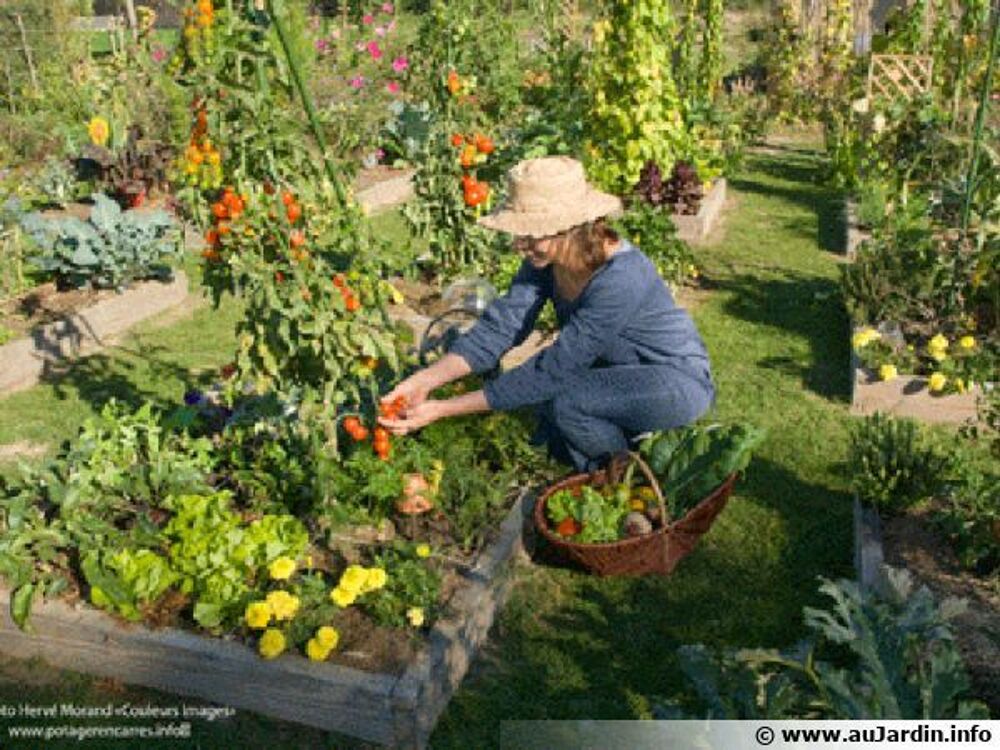 Location Terrain jardin potager BIO Théza