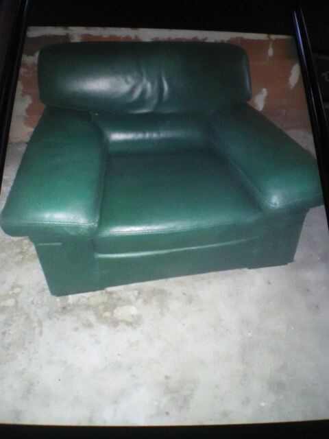 fauteuil cuir 50 Mialet (24)