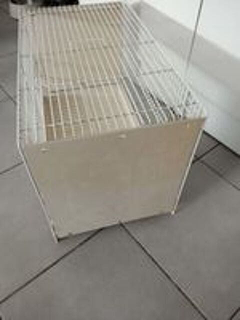   Cage oiseaux  