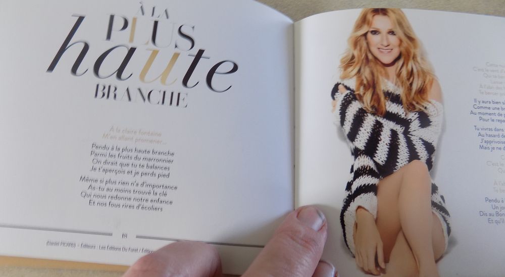 Cahier C&eacute;line Dion Livres et BD