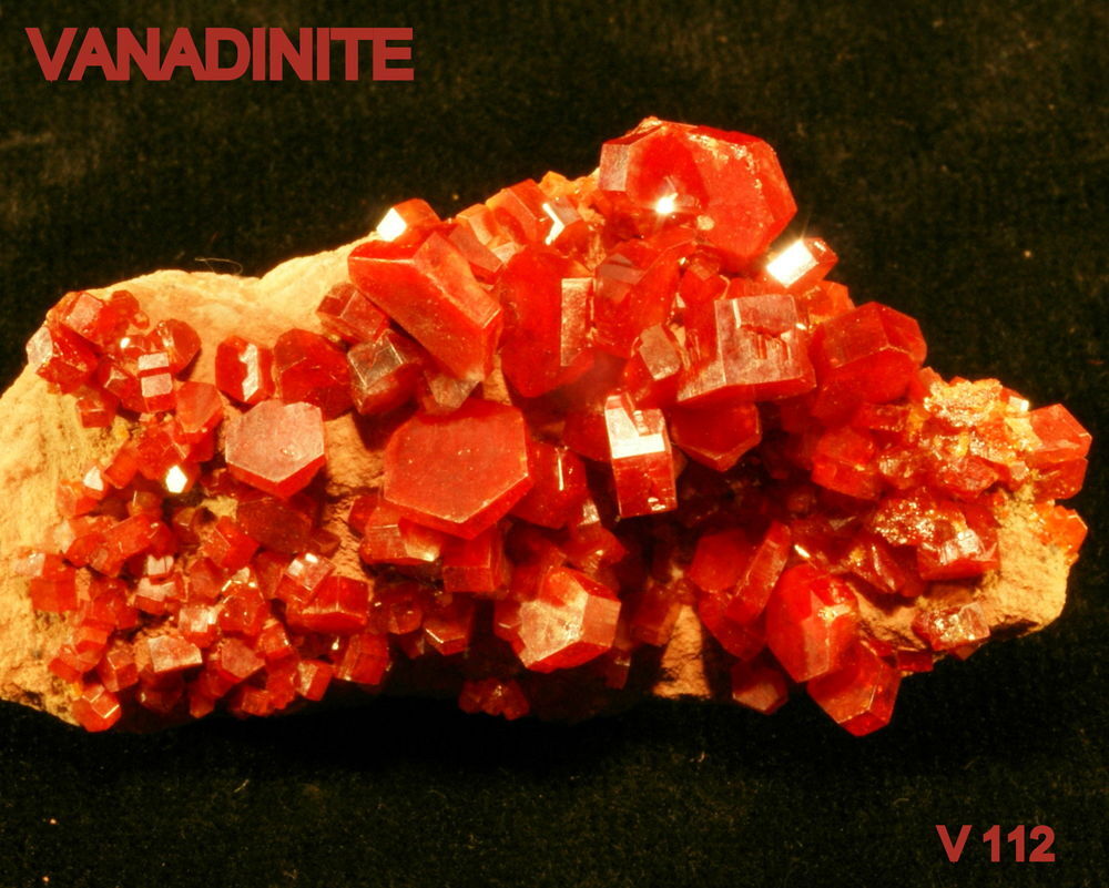 VANADINITE - MINERAUX DE COLLECTION 