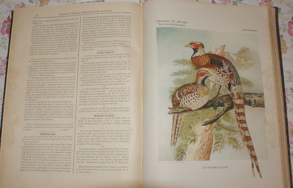 Chasse et p&ecirc;che 1885/86 Livres et BD