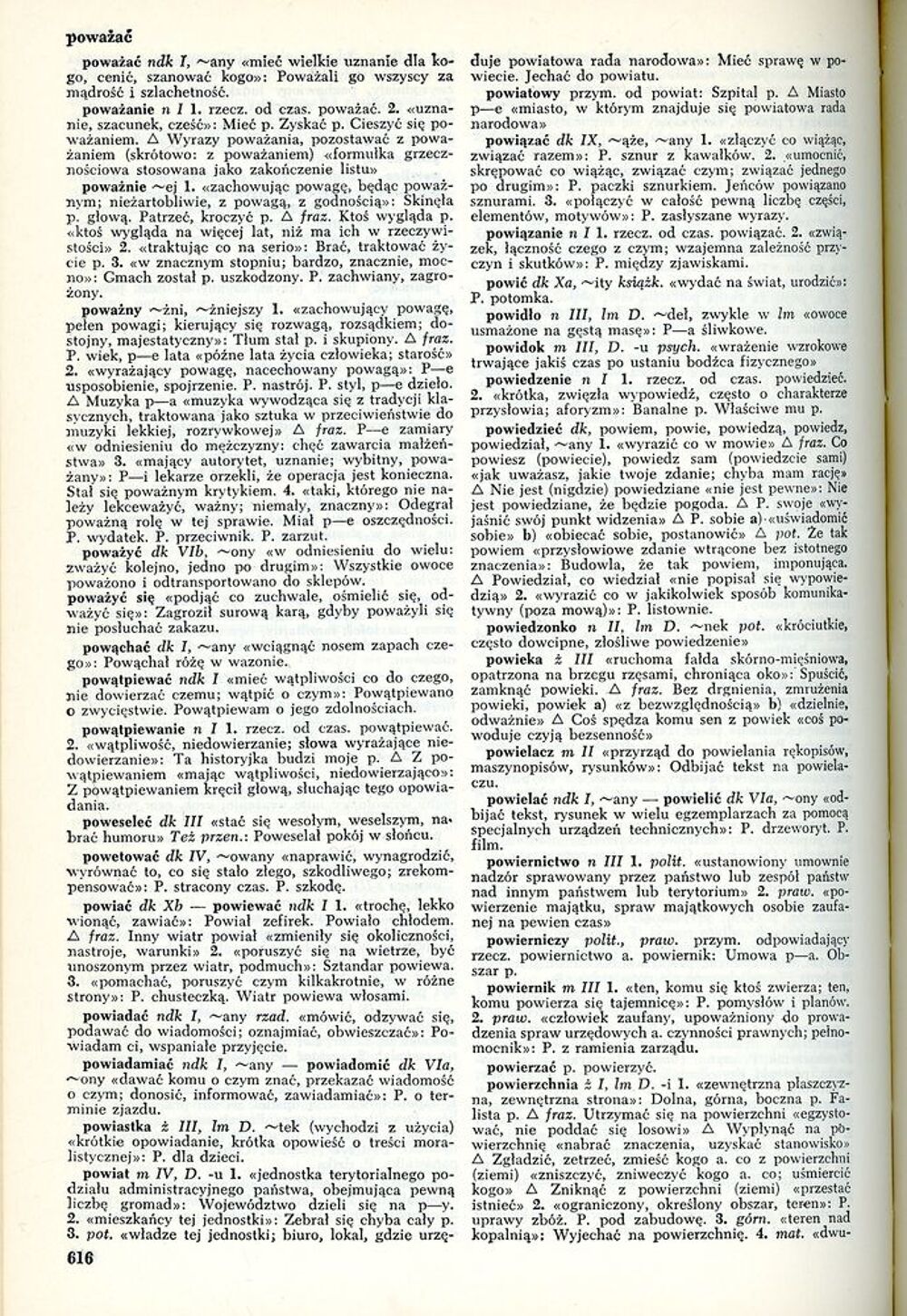 Dictionnaire de la langue polonaise Livres et BD
