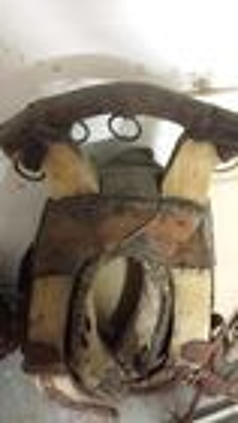 1 collier de cheval en l'&eacute;tat pour mus&eacute;e ou autres 