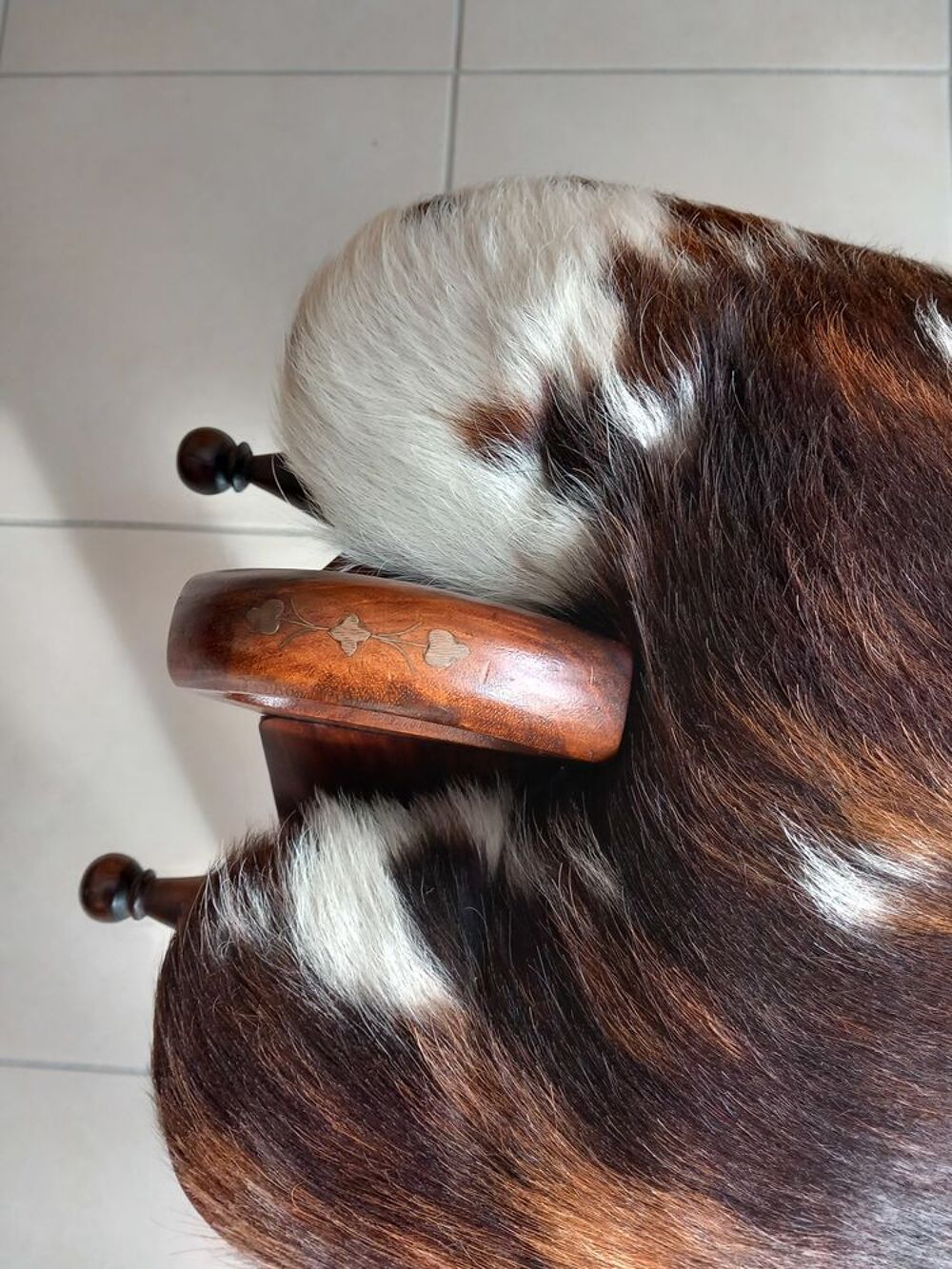 selle de chameau Décoration
