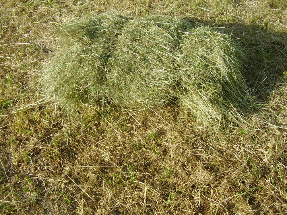  foin sans engrais / nourrisseur  a lapin / granule de foin 