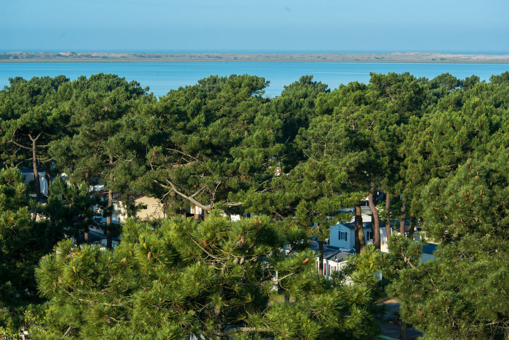  2025 occasion 17570 La Palmyre