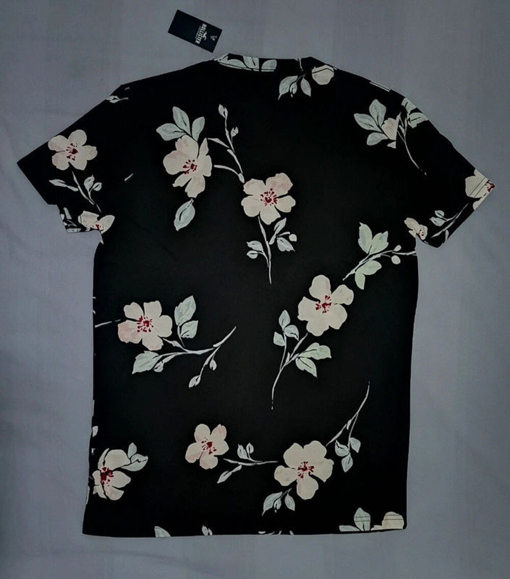 Tee-shirt homme neuf 100% coton Hollister taille XS Vêtements
