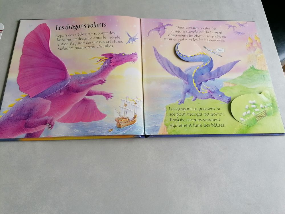 Livre enfant Les dragons avec rabats Livres et BD