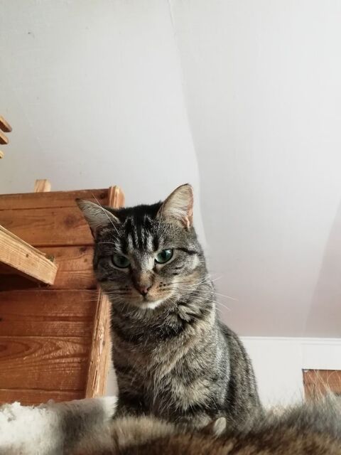 VANDA 240 92400 Courbevoie