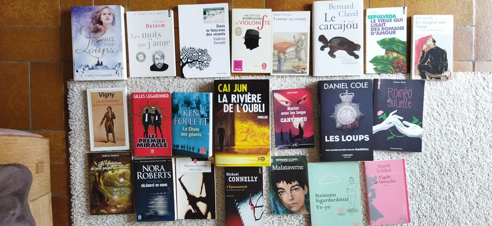 LIVRES DIVERS Livres et BD